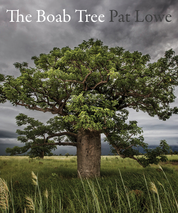 The Boab Tree: By Pat Lowe